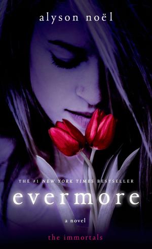 Cover of the book Evermore by Michelle Wildgen