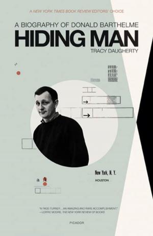 Book cover of Hiding Man
