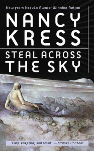 Cover of the book Steal Across the Sky by David Williams