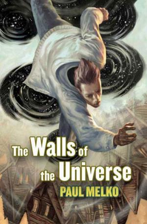 Cover of the book The Walls of the Universe by Elizabeth Haydon