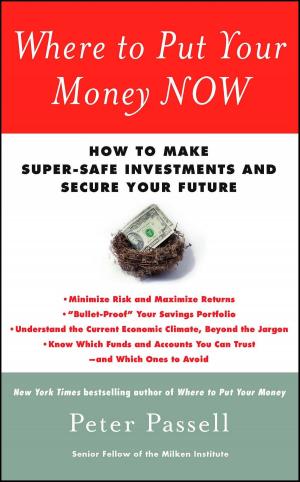 Cover of the book Where to Put Your Money NOW by Steven Dotsch