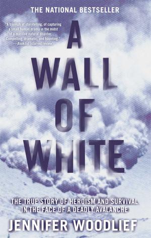 Cover of the book A Wall of White by Vince Flynn