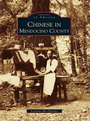 Cover of the book Chinese in Mendocino County by Antoinette Wills, John D. Bolcer