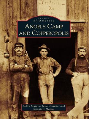 Book cover of Angels Camp and Copperopolis