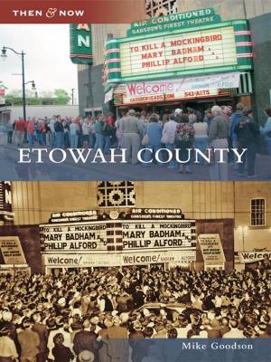 Cover of the book Etowah County by Richard V. Simpson