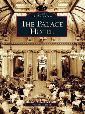 bigCover of the book The Palace Hotel by 