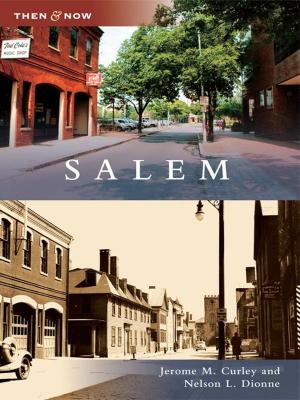 Cover of the book Salem by Mark Bushnell
