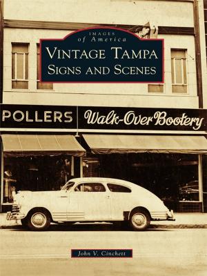 Cover of the book Vintage Tampa Signs and Scenes by Tim Hollis