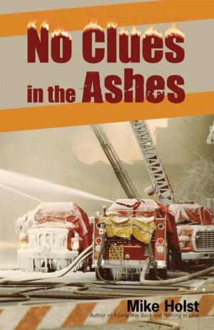 Cover of the book No Clues in the Ashes by Virgil L. Brady