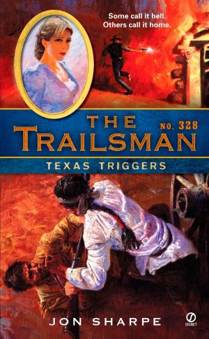 Book cover of The Trailsman #328