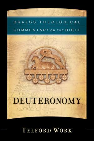 Cover of the book Deuteronomy (Brazos Theological Commentary on the Bible) by Connilyn Cossette