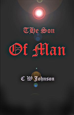 Cover of the book The Son of Man by K.T. Ivanrest