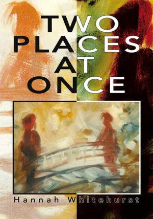 Cover of the book Two Places at Once by D.E. McReynolds