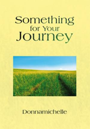 Book cover of Something for Your Journey