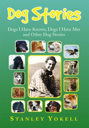 Cover of the book Dog Stories by Carolyn Potts Hayward