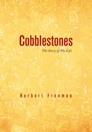 Cover of the book Cobblestones by Dakota Burke