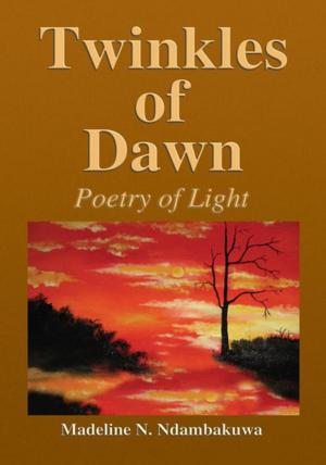 Cover of the book Twinkles of Dawn by Zachary Friedenberg