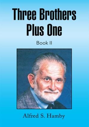 Cover of the book Three Brothers Plus One Book Ii by D. R. Simpson