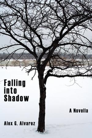 Cover of the book Falling into Shadow by Baker Burke-Simpkins, Debra Burke-Simpkins