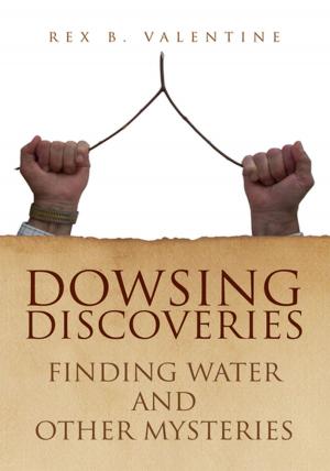 Book cover of Dowsing Discoveries