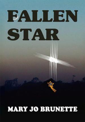 Cover of the book Fallen Star by Richard Jorgensen