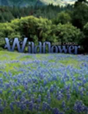 Cover of the book Wildflower by John Michael Osborne