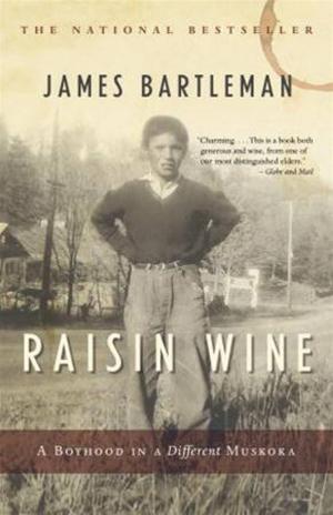 Cover of the book Raisin Wine by Susanna Moodie, Susan Glickman