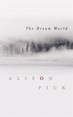 Cover of The Dream World