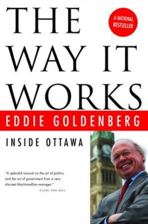 Cover of the book The Way It Works by Davin de Kergommeaux