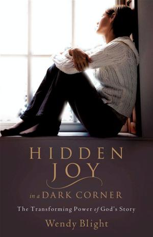 Cover of the book Hidden Joy in a Dark Corner by Stephen Miller