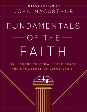Cover of the book Fundamentals of the Faith by David Brickner