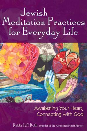 Cover of the book Jewish Meditation Practices for Everyday Life by Rabbi Elyse Goldstein