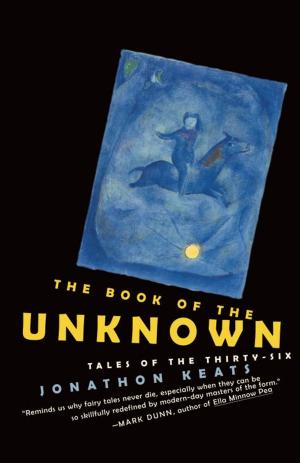 bigCover of the book The Book of the Unknown by 
