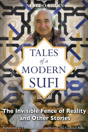 Book cover of Tales of a Modern Sufi