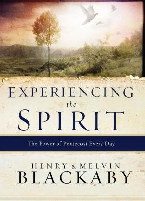 Cover of the book Experiencing the Spirit by Henri J. M. Nouwen