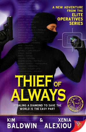 Book cover of Thief of Always