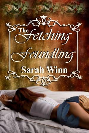 Cover of the book The Fetching Foundling by Shady Grace