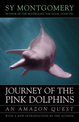 Cover of the book Journey of the Pink Dolphins by Keith Woodford