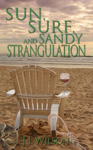 Book cover of Sun, Surf and Sandy Strangulation
