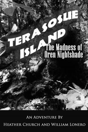 Cover of the book Terasosue Island by David Chatelle