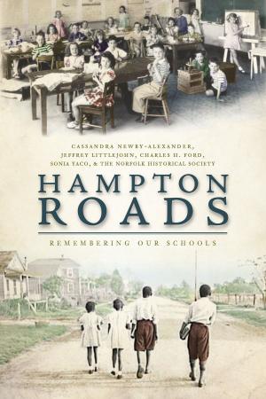 Cover of the book Hampton Roads by Daniel Ireland
