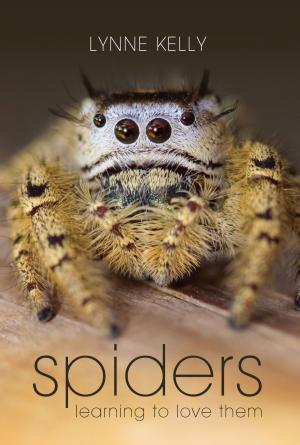 Cover of the book Spiders by Jutta Oppermann
