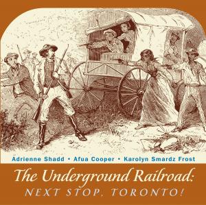 Cover of the book The Underground Railroad by Colleen Nelson