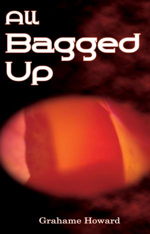 Cover of the book All Bagged Up by Polly Morten