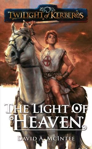 Cover of the book The Light of Heaven by Pat Kelleher
