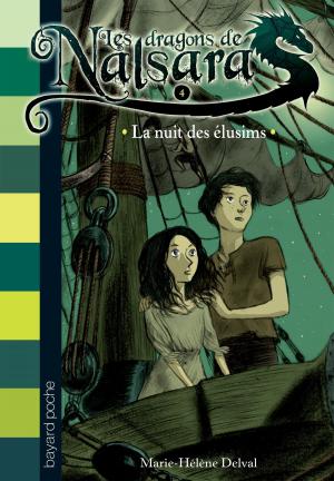 Cover of the book Les dragons de Nalsara, Tome 4 by Marie Aubinais