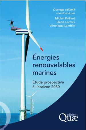 Cover of the book Energies renouvelables marines by Florentina Moatar, Nadia Dupont