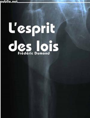 Cover of the book L'Esprit des lois by Laure Morali