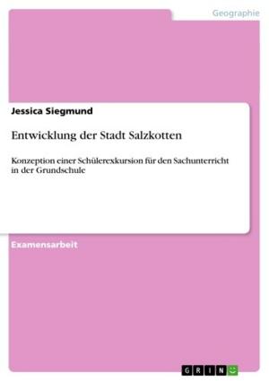 Cover of the book Entwicklung der Stadt Salzkotten by Thomas Lindwurm
