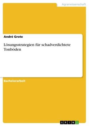 Cover of the book Lösungsstrategien für schadverdichtete Tonböden by Magdalena Wendt